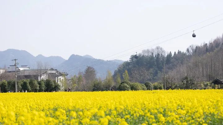 1680068734135416Re3K.jpg 1680068734135416Re3K.jpg