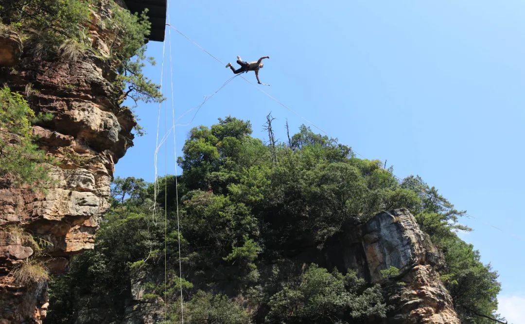 16996082806063062Erd.jpg 16996082806063062Erd.jpg