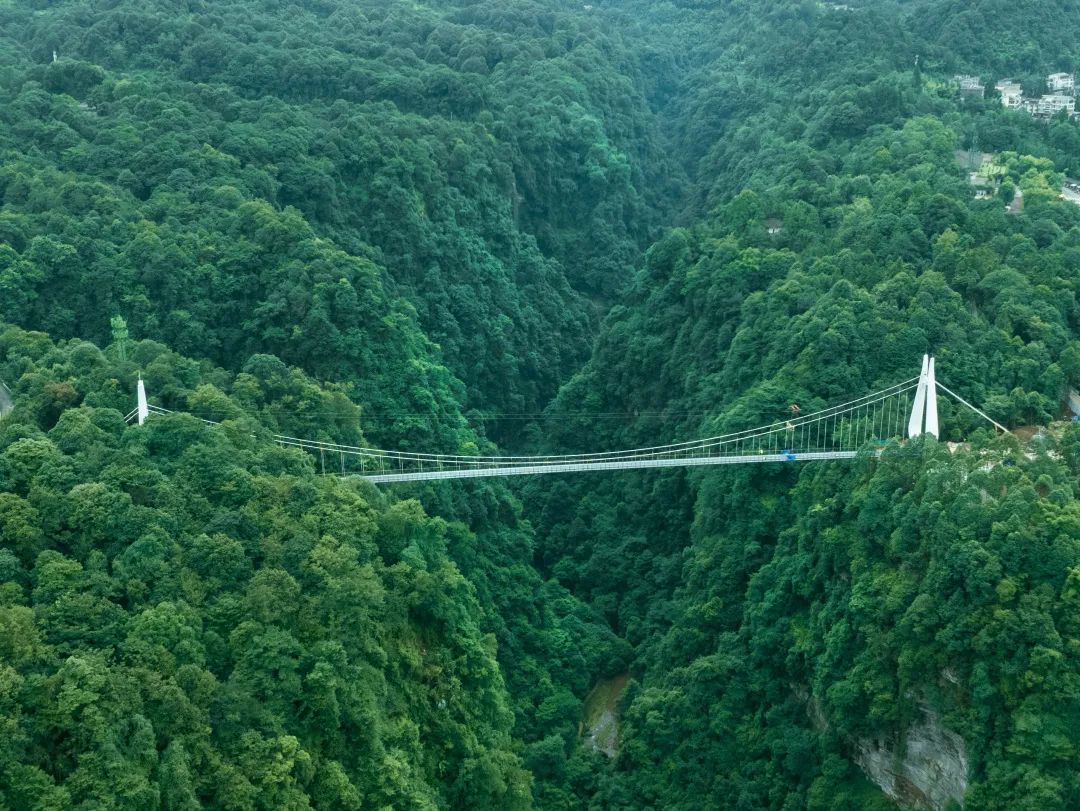 1725932916574531rC45.jpg 空中廊橋2.jpg