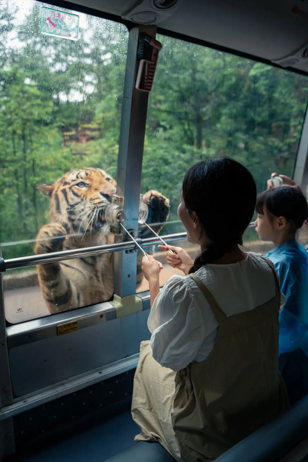 1725933362180873BqhD.jpg 投喂萌寵.jpg